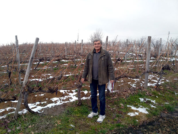 Вина из завичаја владике Николаја